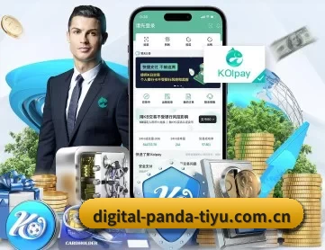熊猫体育官网 APP 深度功能
