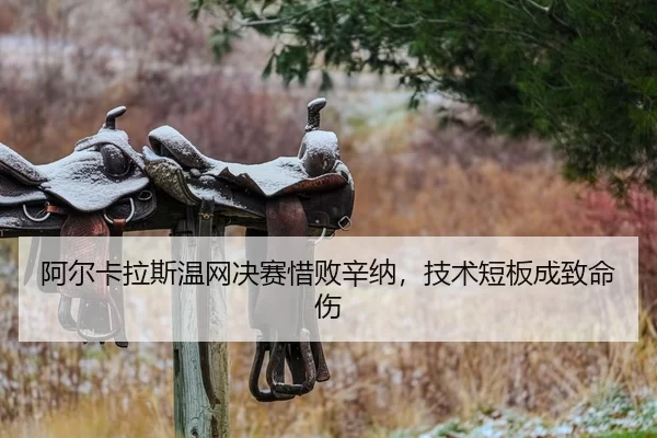 a-er-ka-la-si-wen-wang-jue-sai-xi-bai-xin-na-ji-shu-duan-ban-cheng-zhi-ming-shang-2-656.jpg
