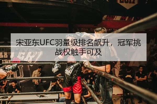 song-ya-dong-yu-liang-ji-pai-ming-biao-sheng-guan-jun-tiao-zhan-quan-chu-shou-ke-ji-3-311.jpg