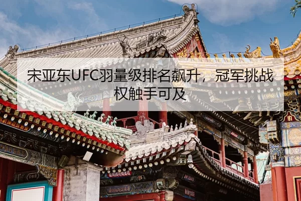 宋亚东UFC羽量级排名飙升，冠军挑战权触手可及