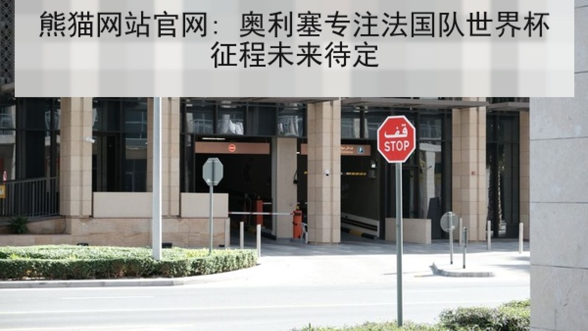 熊猫网站官网: 奥利塞专注法国队世界杯征程未来待定