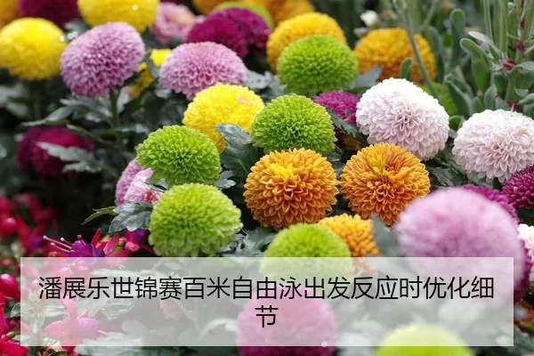 潘展乐世锦赛百米自由泳出发反应时优化细节