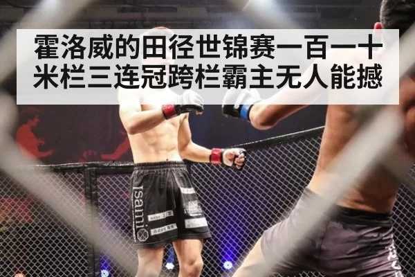 霍洛威的田径世锦赛一百一十米栏三连冠跨栏霸主无人能撼